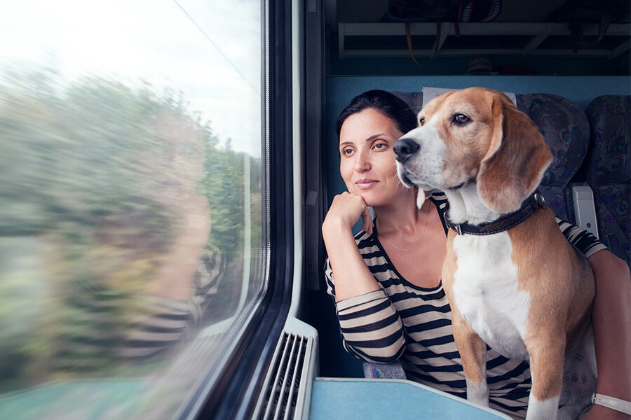 Pet Relocation by Train